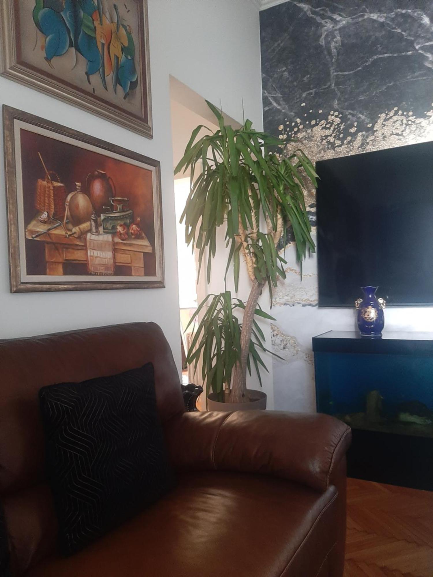 Apartamento Stylish King Downtown Podgorica Exterior foto